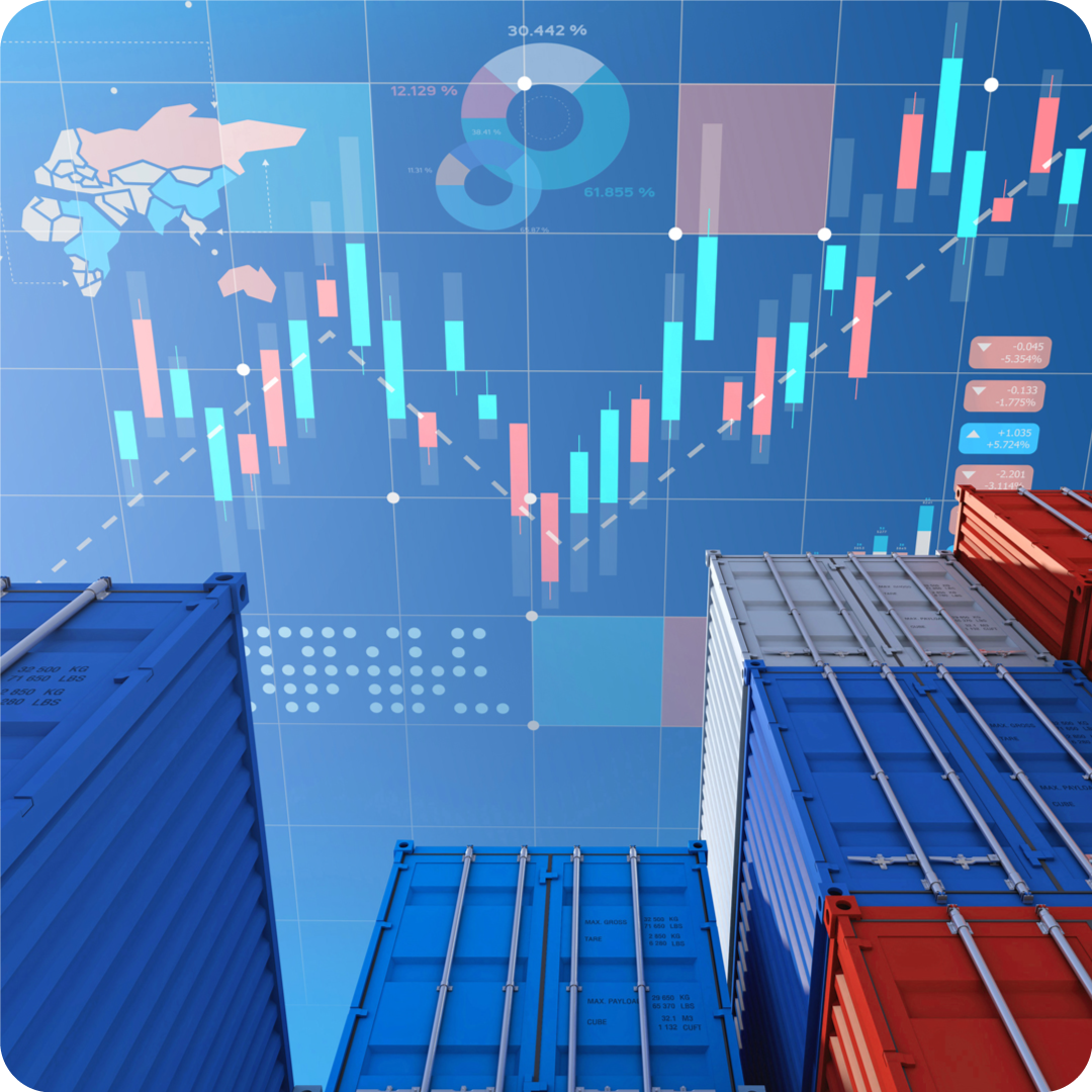 control de la operacion de importacion de mercancias